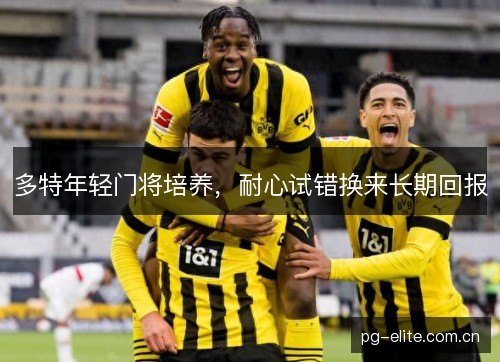 多特年轻门将培养,耐心试错换来长期回报 多特年轻门将培养,耐心试错换来长期回报