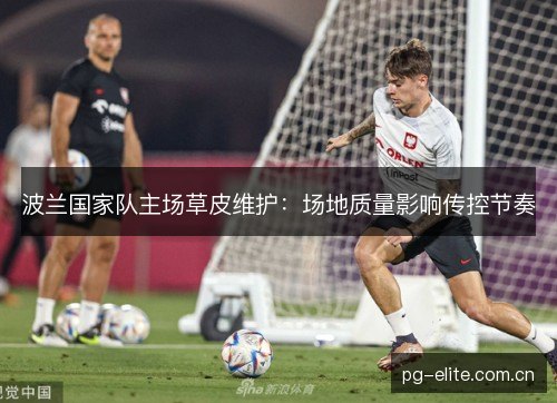 波兰国家队主场草皮维护：场地质量影响传控节奏